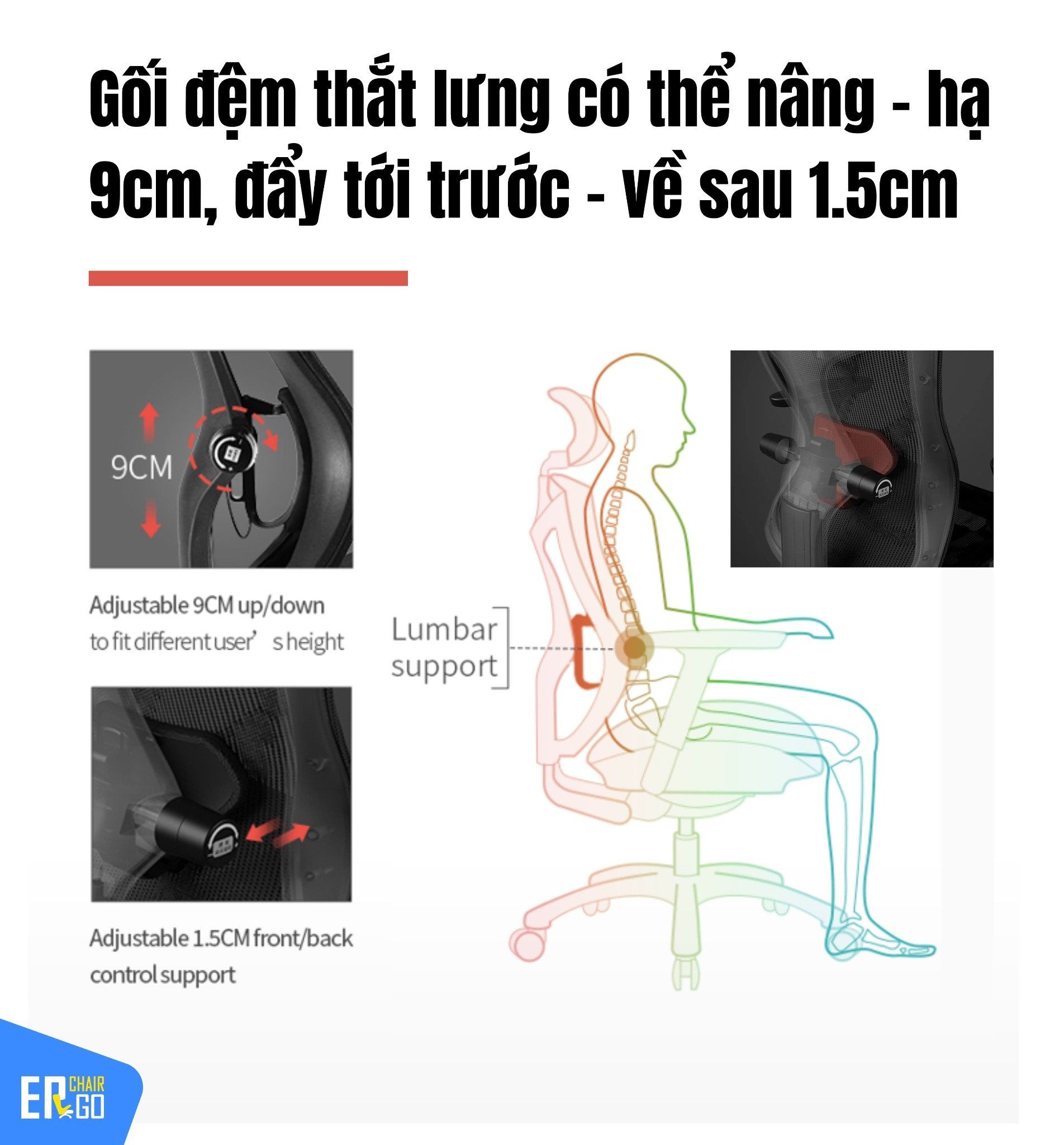  Ghế Công Thái Học Sihoo V1 