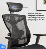 Ghế Công Thái Học Sihoo V1 