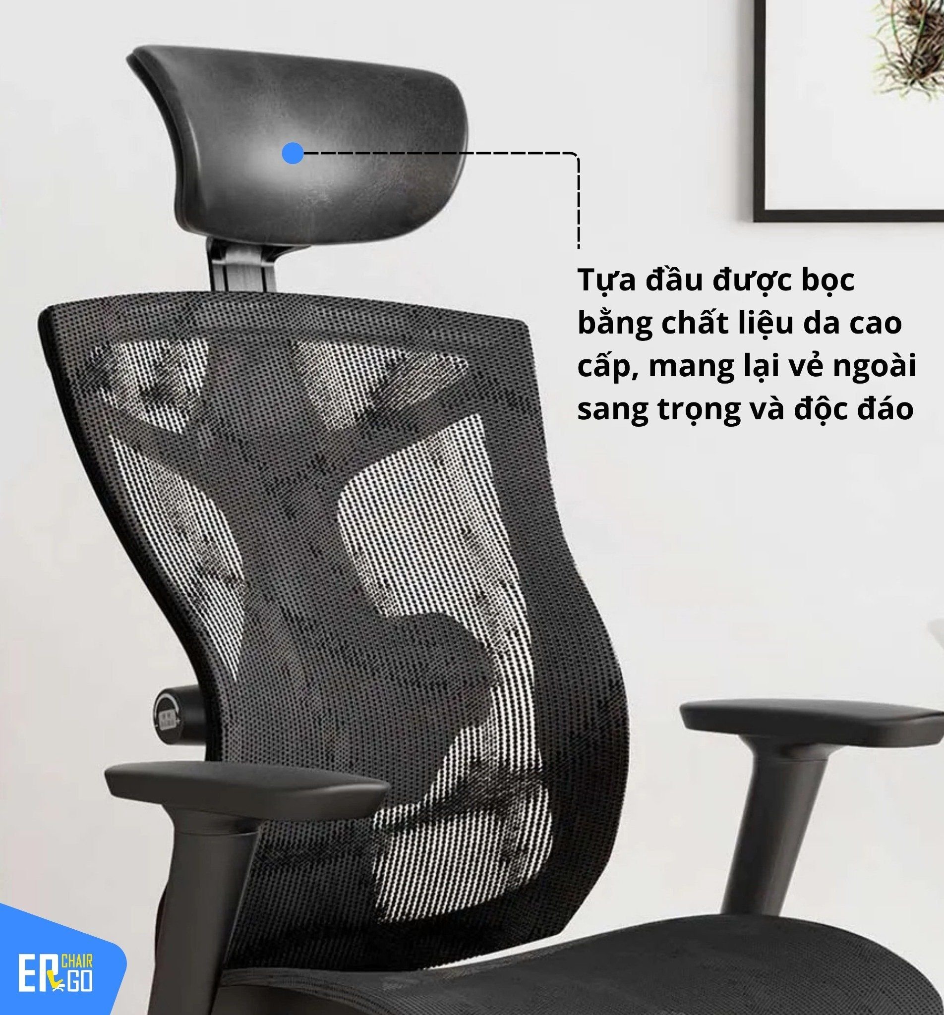  Ghế Công Thái Học Sihoo V1 