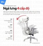  Ghế Công Thái Học Gami Crom bản thường màu Xám 2025 (tùy chọn gắn thêm gác chân) 