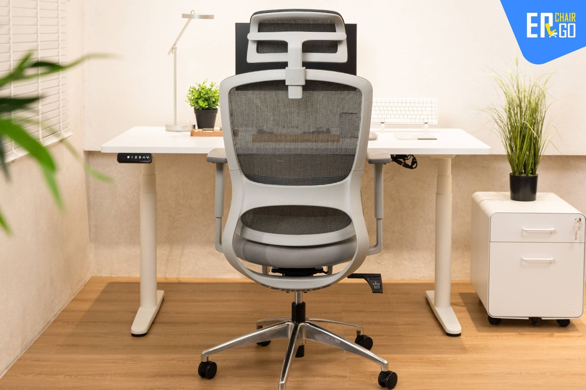  Ghế Công Thái Học Gami Focus phiên bản V1 và V2 