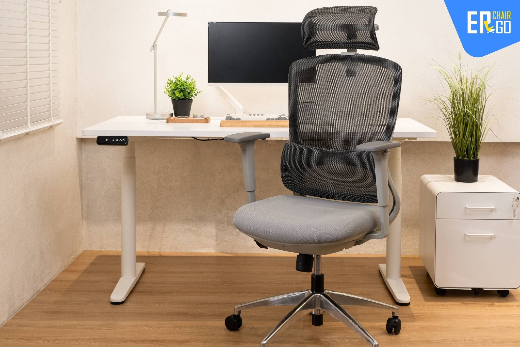  Ghế Công Thái Học Gami Focus phiên bản V1 và V2 