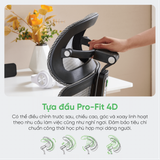  Ghế Công Thái Học UpGen Revolution bản nâng cấp 2025 