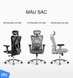  Ghế Công Thái Học Sihoo M57 