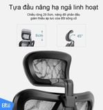  Ghế Công Thái Học Sihoo M57 