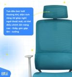  Ghế Công Thái Học EA02 