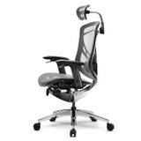  [Ko bảo hành] Ghế Ergonomic Công Thái Học Dvary Ivino Xám - Tay cầm 5D 2023 (Tặng Phụ Kiện Mắc Áo) 