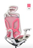  Ghế Ergonomic Công Thái Học Butterfly Hồng Elegant (Tặng Phụ kiện Mắc áo) 