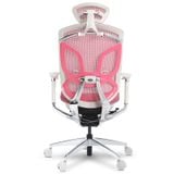  Ghế Ergonomic Công Thái Học Butterfly Hồng Elegant (Tặng Phụ kiện Mắc áo) 