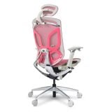  Ghế Ergonomic Công Thái Học Butterfly Hồng Elegant (Tặng Phụ kiện Mắc áo) 