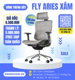  [SOLD - Hàng trưng bày thanh lý] Ghế công thái học Fly Aries Ergonomic Chair - ErgoChair 