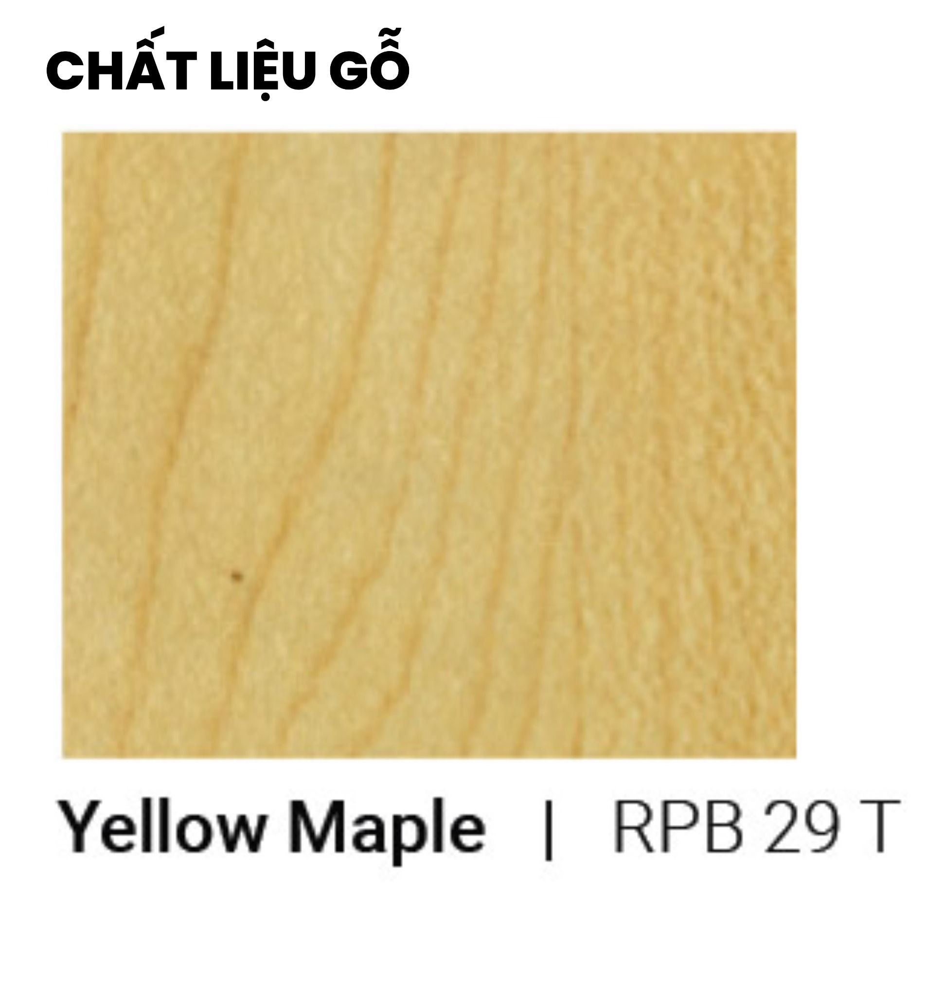  Bàn lãnh đạo liền tủ E-Woodie BGD01-2018 (Bàn 2000x800x750 mm, Tủ 1800x450x630 mm) 