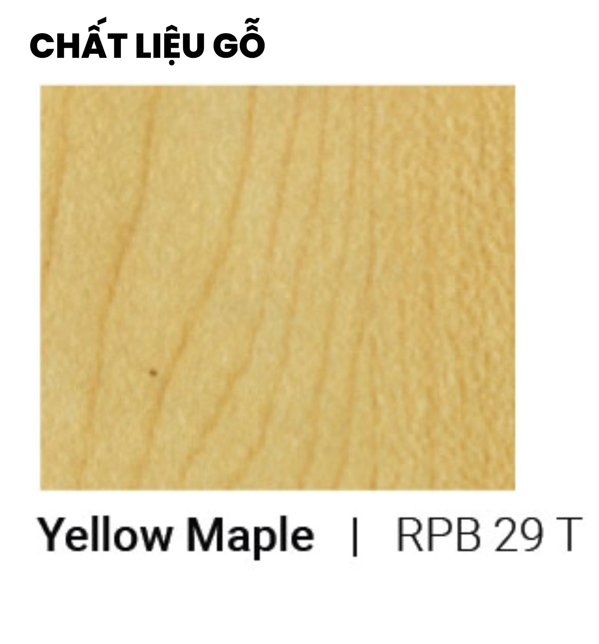  Tủ hồ sơ thấp LC-750-01 (W800 x D400 x H750mm) 