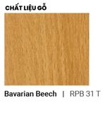  Tủ hồ sơ cao HC-2418-01 (W800 x D400 x H2418mm) 