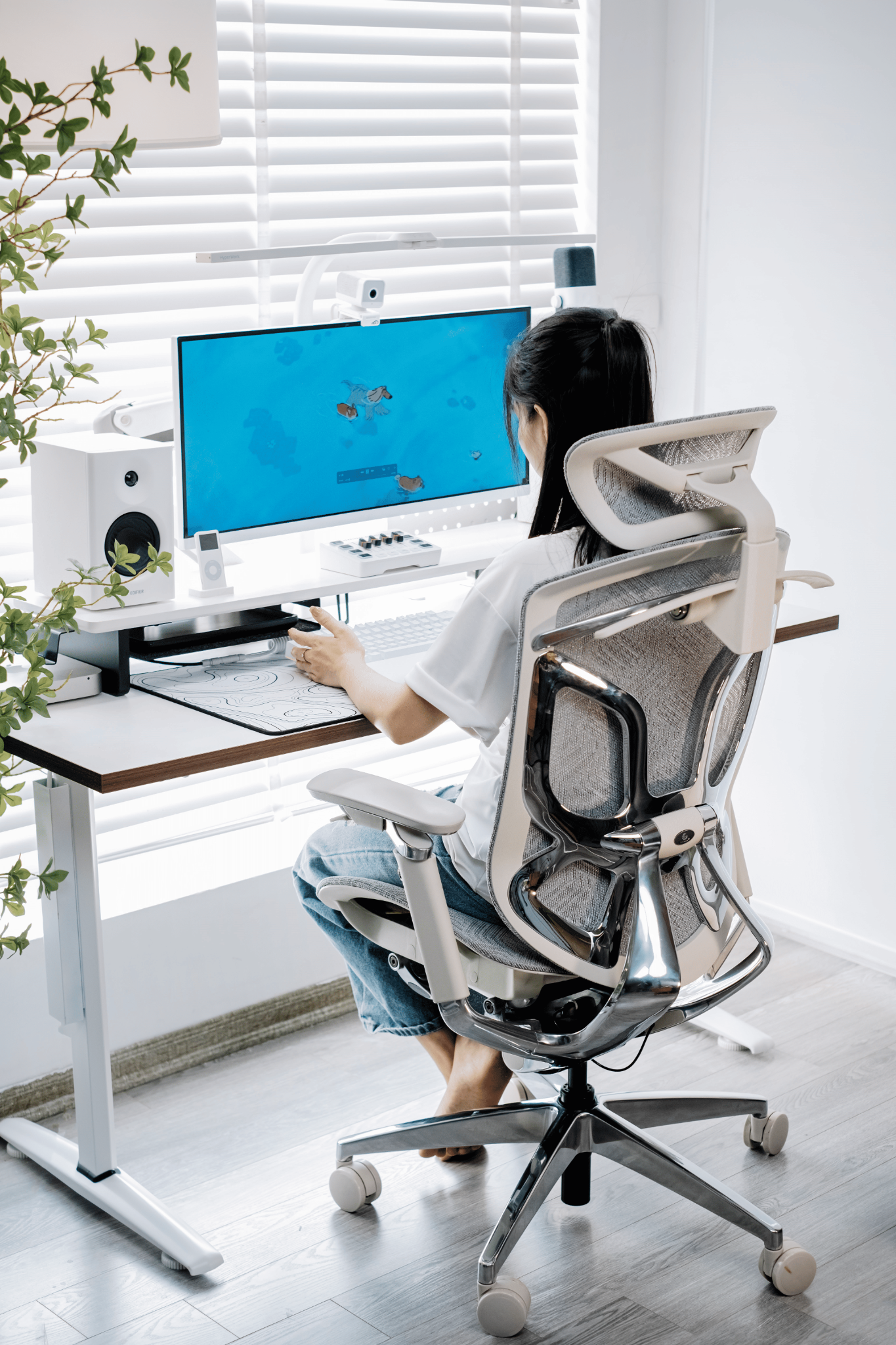  Ghế Công Thái Học GTChair Dvary Butterfly Pro 5D (bản nâng cấp 2024) 