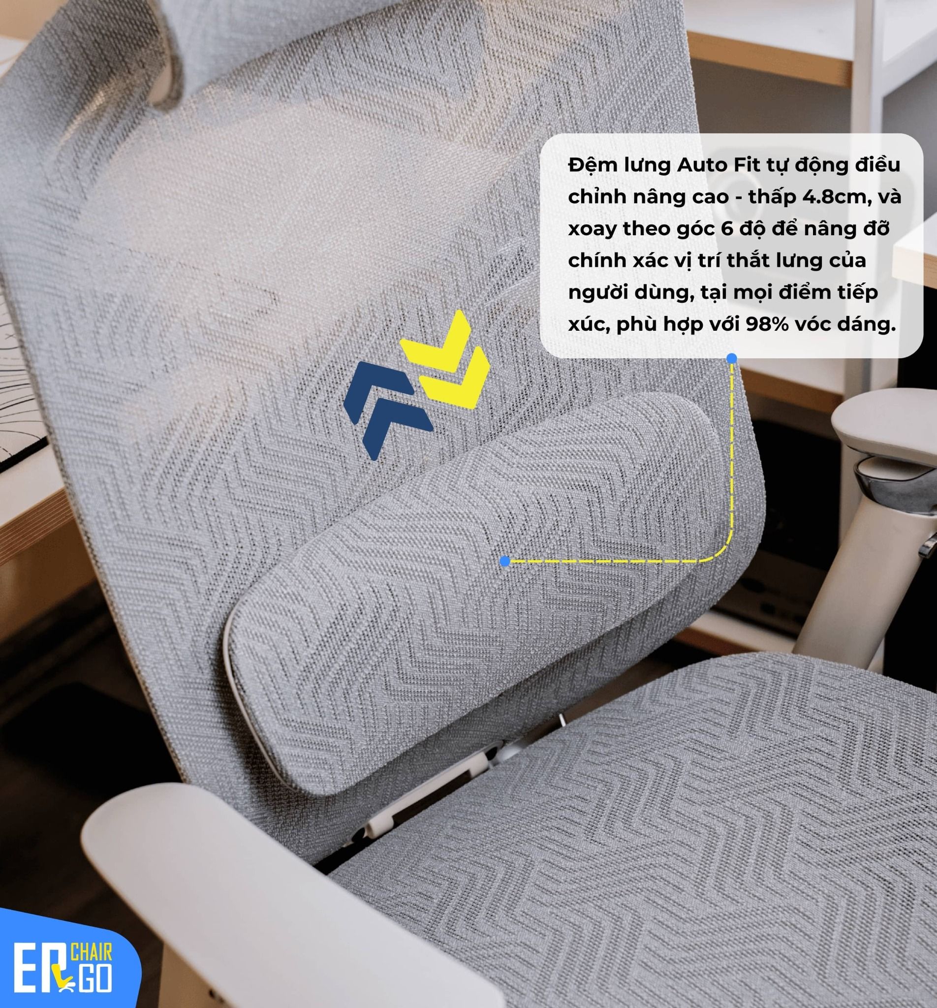  Ghế Công Thái Học GTChair Dvary Butterfly Pro 5D (bản nâng cấp 2024) 