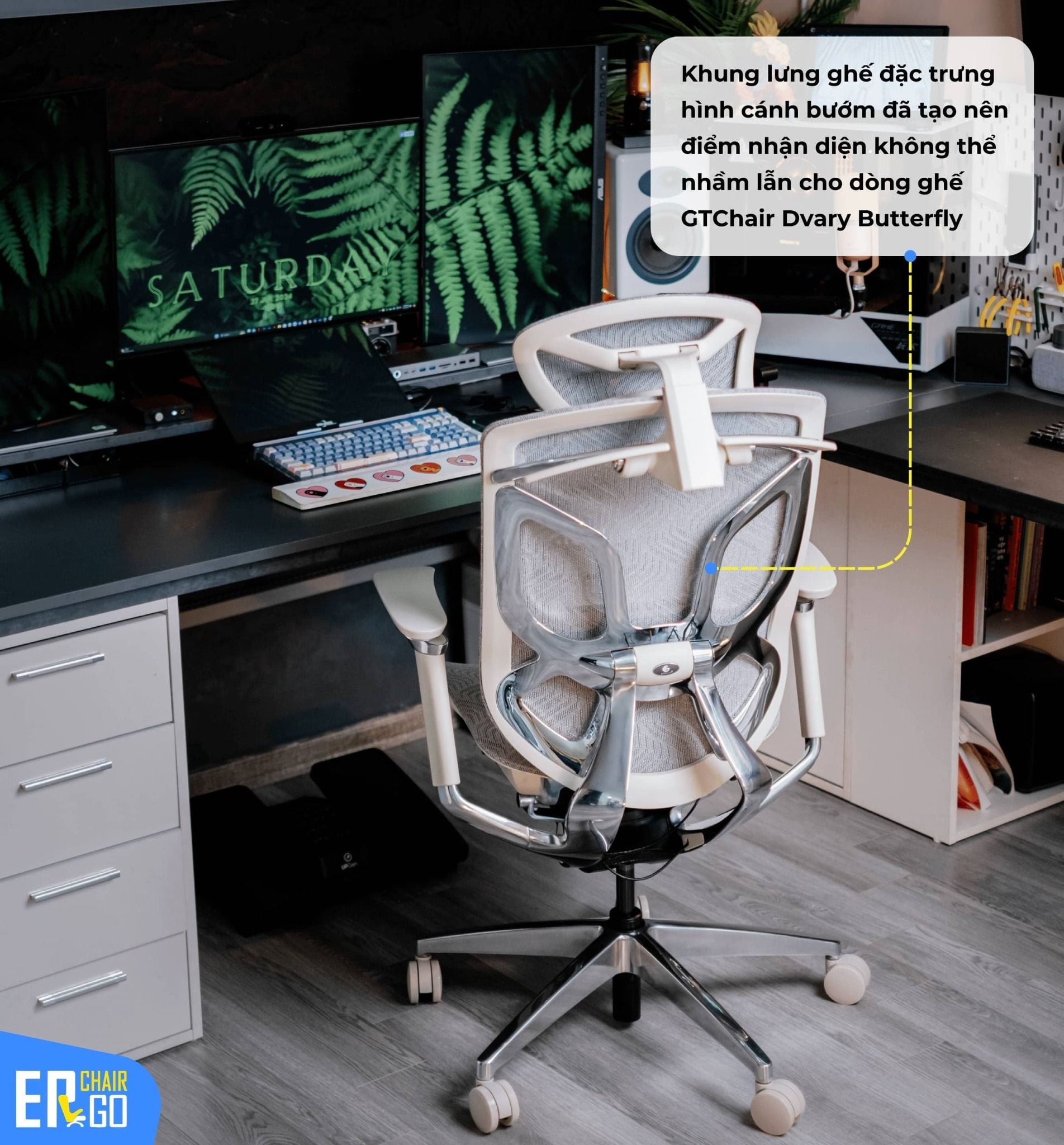 Ghế Công Thái Học GTChair Dvary Butterfly Pro 5D (bản nâng cấp 2024) 