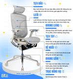  Ghế Công Thái Học GTChair Dvary Butterfly Pro 5D (bản nâng cấp 2024) 
