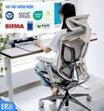  Ghế Công Thái Học GTChair Dvary Butterfly Pro 5D (bản nâng cấp 2024) 