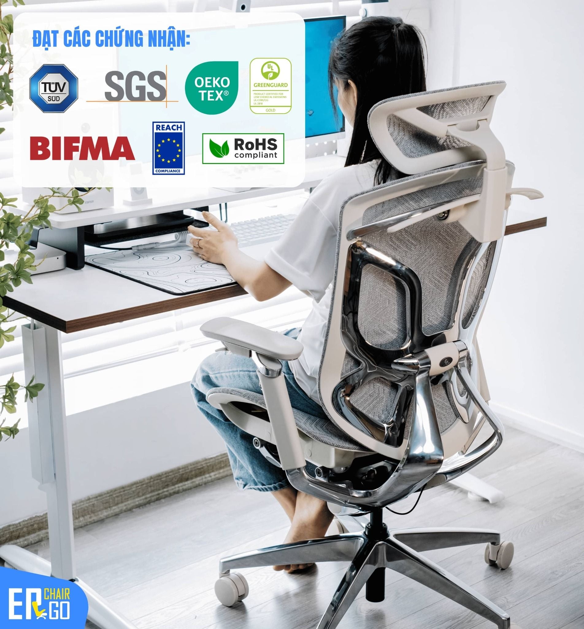  Ghế Công Thái Học GTChair Dvary Butterfly Pro 5D (bản nâng cấp 2024) 