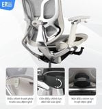  Ghế Công Thái Học GTChair Dvary Butterfly Pro 5D (bản nâng cấp 2024) 