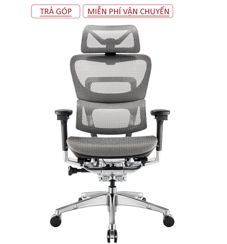 GHẾ ERGONOMIC 2 LƯNG & 3 LƯNG