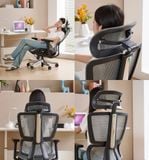  Ghế Công Thái Học UpGen Revolution Ergonomic Chair 
