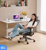  Ghế Công Thái Học UpGen Revolution Pro Ergonomic Chair 