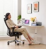  Ghế Công Thái Học UpGen Revolution Ergonomic Chair 