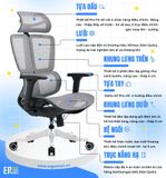  Ghế Công Thái Học UpGen Revolution Pro Ergonomic Chair 