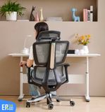  Ghế Công Thái Học UpGen Revolution Pro Ergonomic Chair 