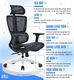  Ghế Công Thái Học UpGen Revolution Ergonomic Chair 