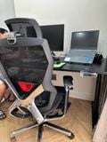  Ghế Công Thái Học Ergonomic X-Men Xeno - Màu Đen (Có kê chân) 