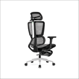  Ghế Công Thái Học UpGen Revolution bản nâng cấp 2025 