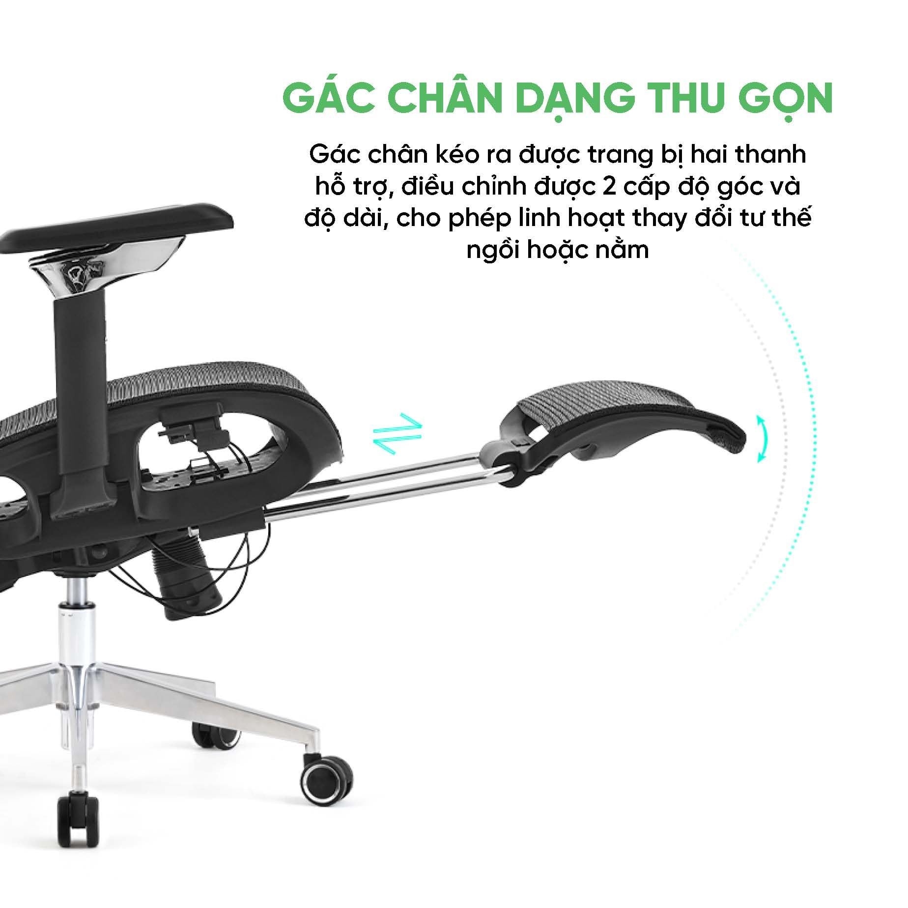  Ghế Công Thái Học UpGen Nexus 2025 