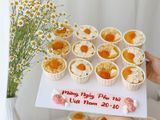  CUPCAKE BLTM PHÔ MAI 