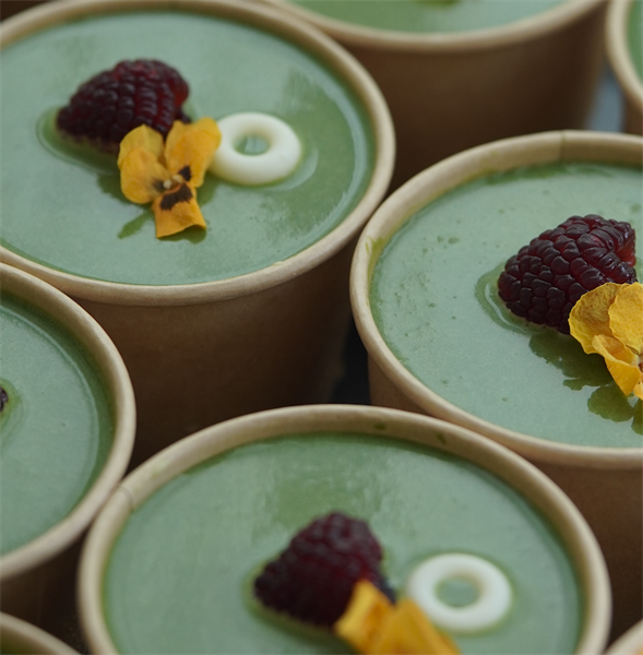  Mini Tiramisu Matcha 