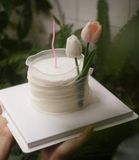  HOA TULIP 
