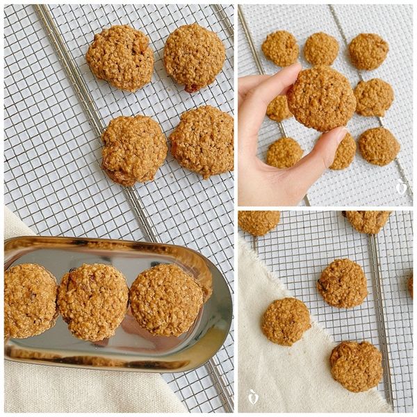  Bánh yến mạch nho khô 
