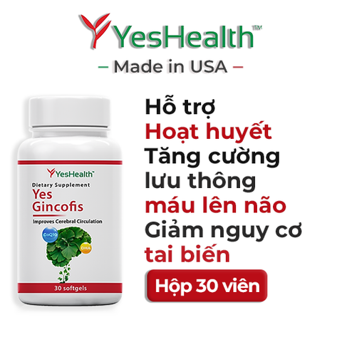 Viên Uống Hỗ Trợ Tăng Cường Lưu Thông Máu Lên Não Yes Gincofis - Hộp 30 viên nang mềm