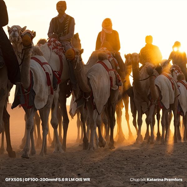 Ống kính Fujinon GF100-200mm F5.6 R LM OIS WR