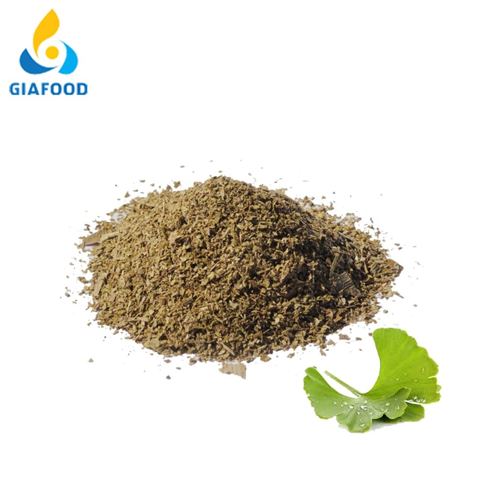  Ginkgo Biloba Extract – GINKGOLON-24 