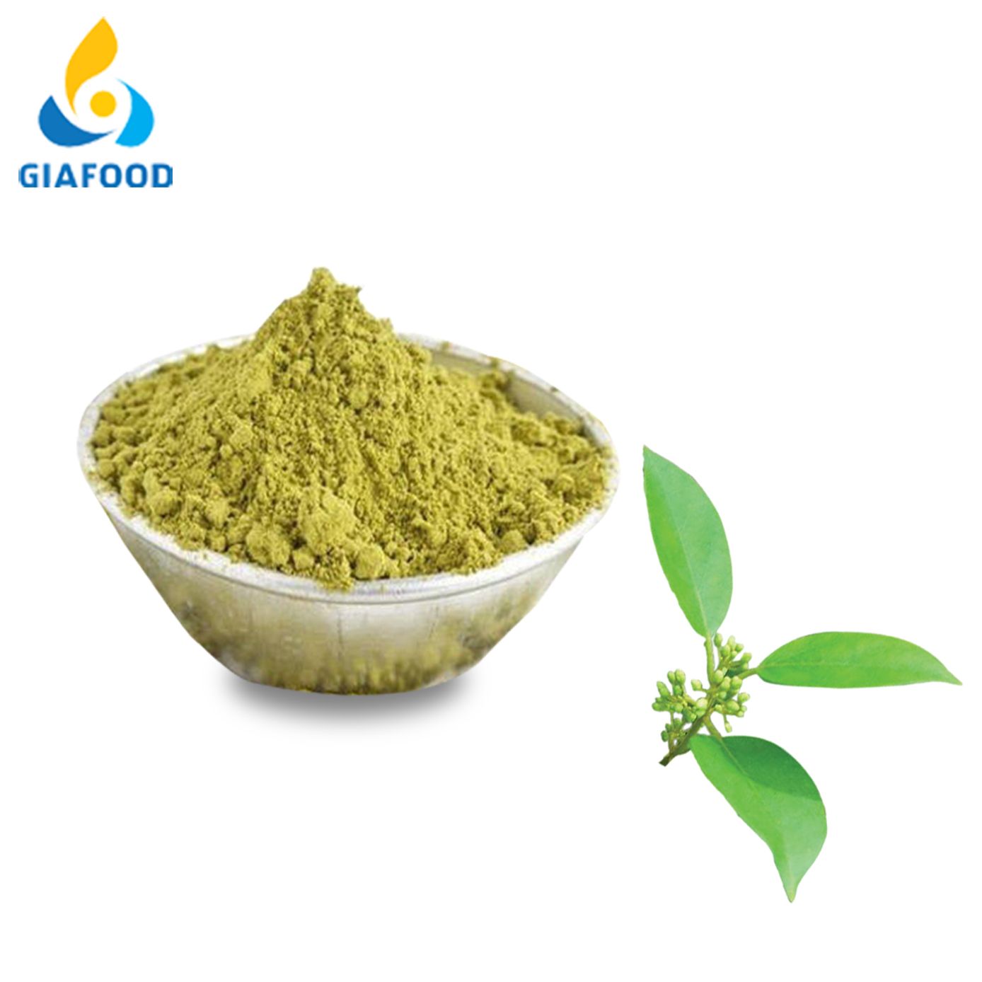  GYMNEMA SYLVESTRE EXTRACT 