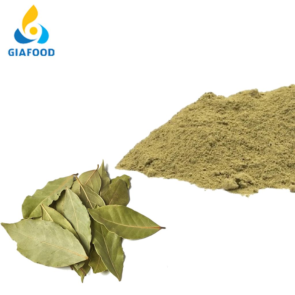  Laurus Nobilis Leaf Extract 