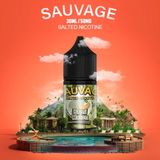  Hami Melon ( Dưa Gang Lạnh ) By Sauvage Salt NIc 30ML 