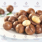  Macca Damia - Bộ sản phẩm Bản Lửa BAMECA 