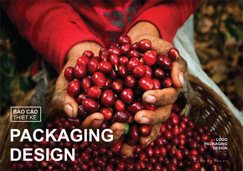  Cà Phê Hạt ARABICA 