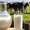 Sữa Tươi Tiệt Trùng Nguyên Kem Harvey Fresh 1L (Úc)