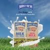 Sữa Tiệt Trùng Ít Béo Harvey Fresh 1L - Nhập Khẩu Úc | Harvey Fresh UHT Low Fat Milk 1L