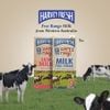 Sữa Tiệt Trùng Ít Béo Harvey Fresh 1L - Nhập Khẩu Úc | Harvey Fresh UHT Low Fat Milk 1L